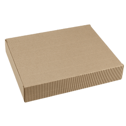 Scatola Polaris in kraft da 360 x 290 x 63 mm