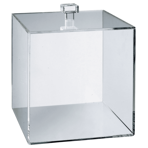 Cubo in PMMA da 250 x 250 mm con coperchio