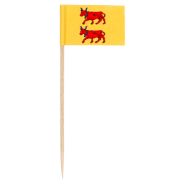 Pique drapeau Béarn