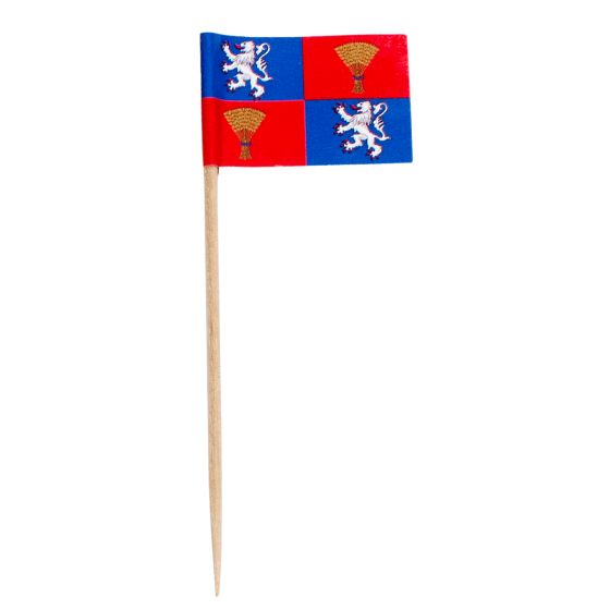 Pique drapeau Gascogne