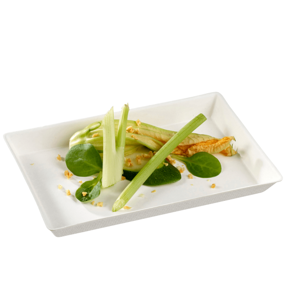 Piatto Quartz in polpa di canna laminato da 160 x 100 mm