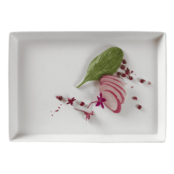 Assiette Quartz pulpe de canne avec lamination 185x130 mm