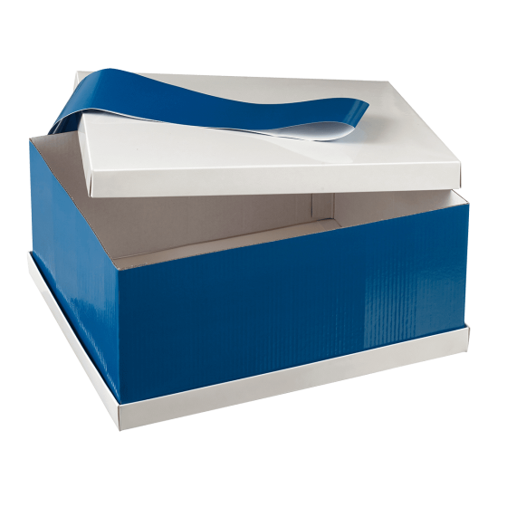 Kit vassoio Reverso doppia fascia blu