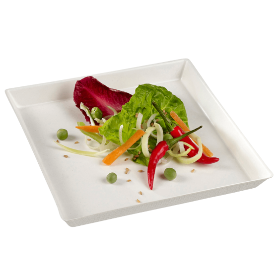 Assiette Quartz 160x160 mm